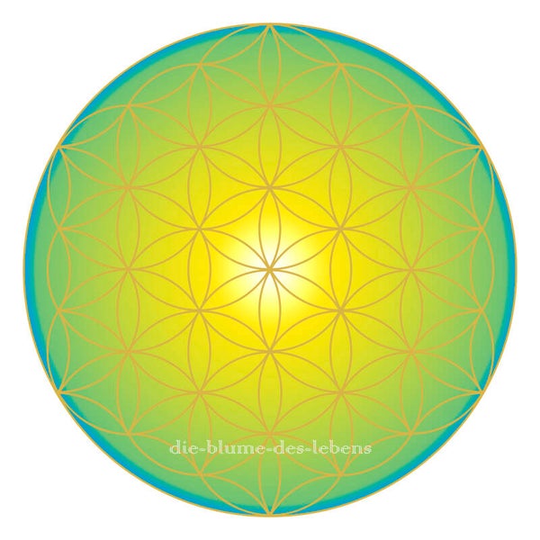 Blume des Lebens 117