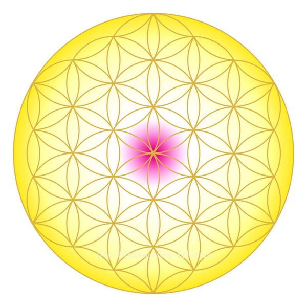 Blume des Lebens 120