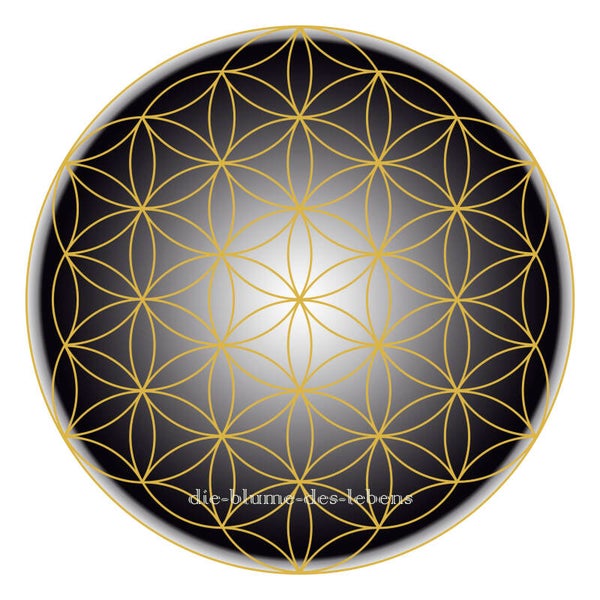 Blume des Lebens 138