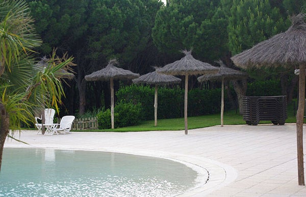 Brezo Parasol