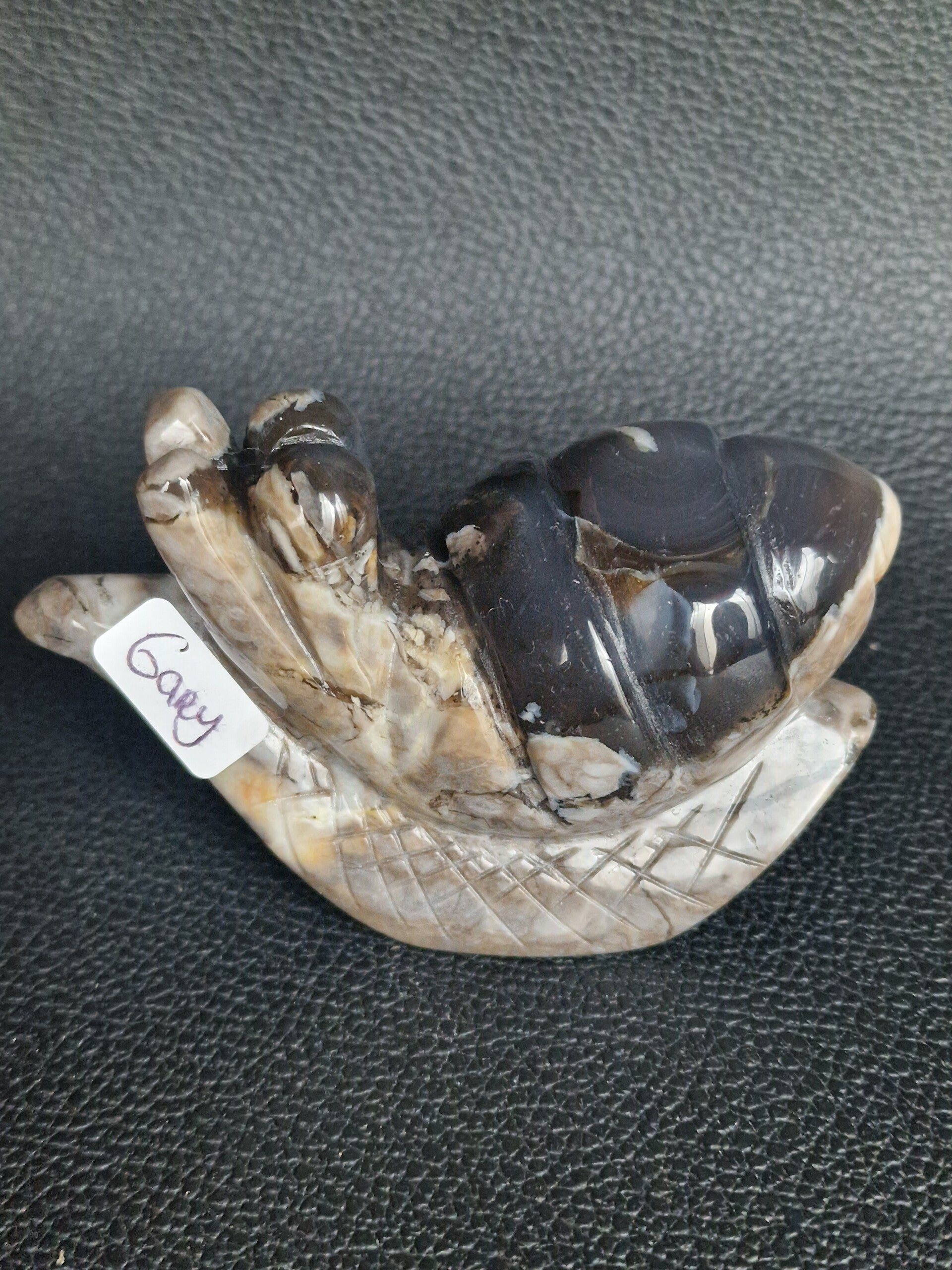 🐸Kikkers & slakken🐌