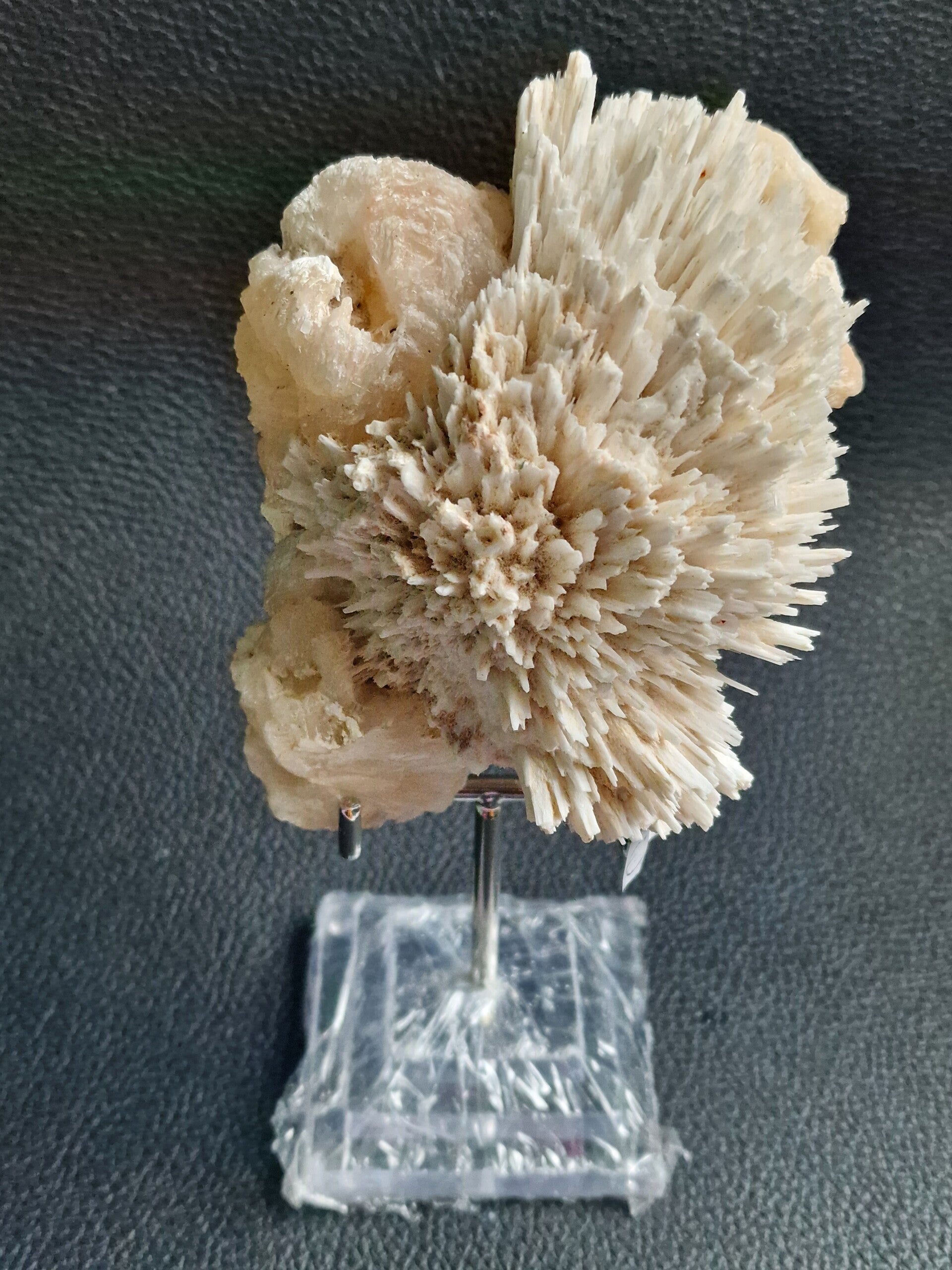 Spiked Mordeniet stilbiet