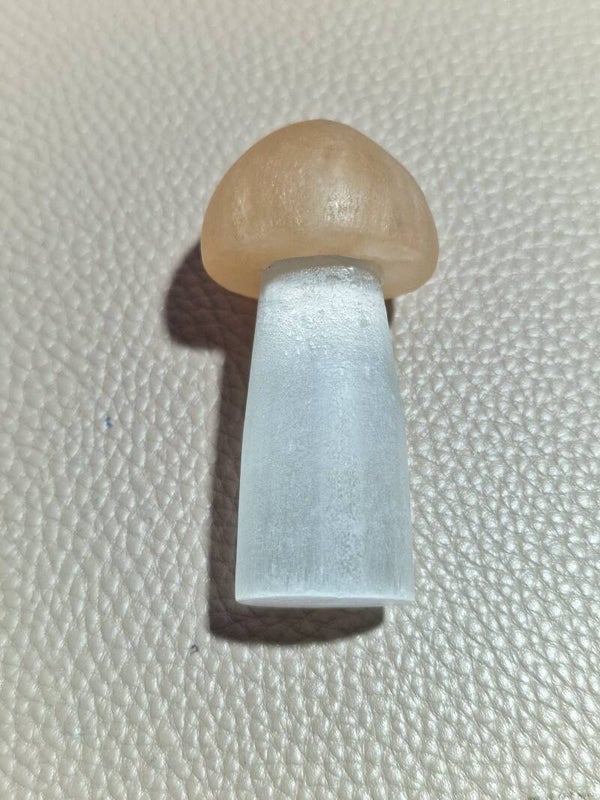 Mushies