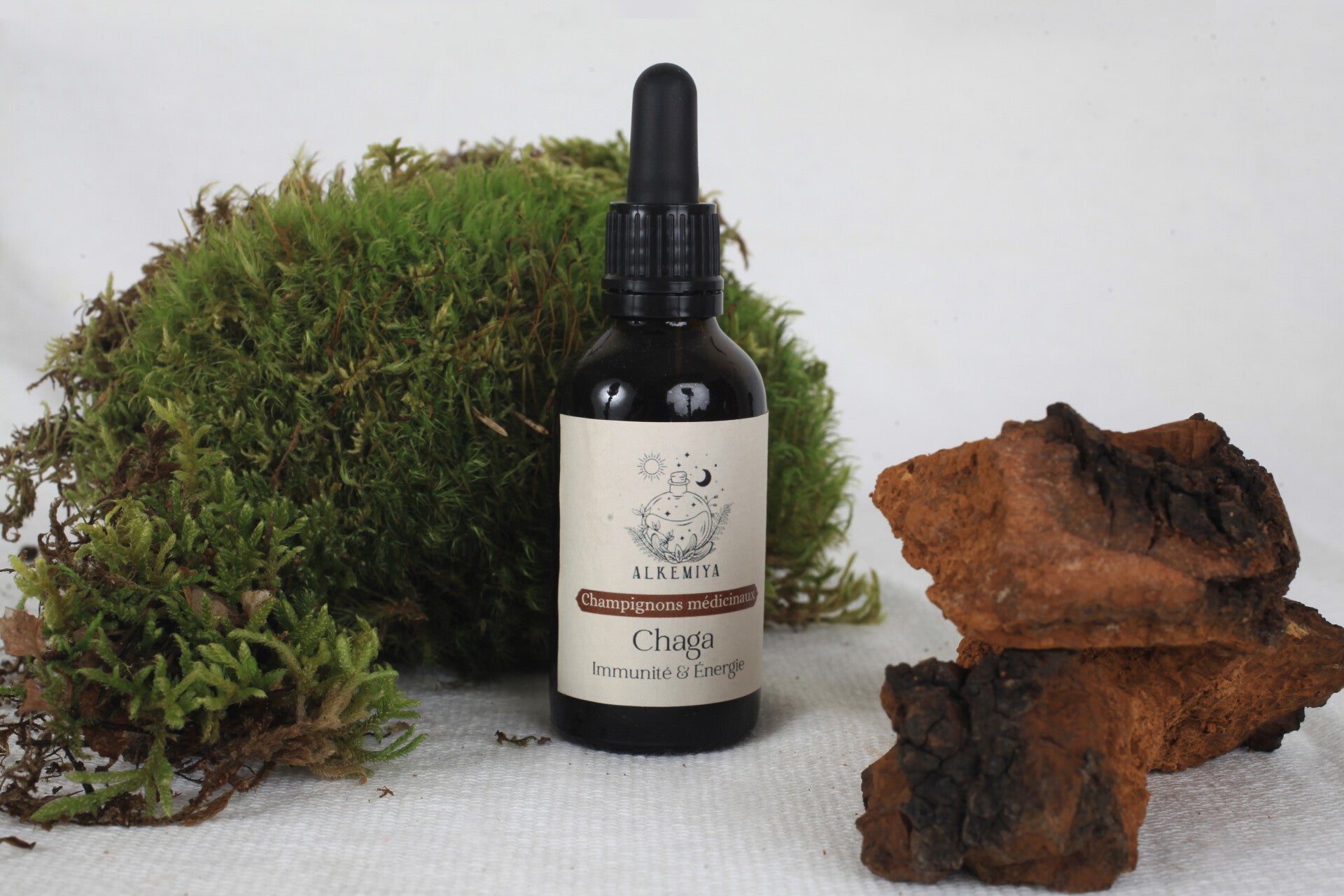 Champignon Chaga - Immunité & Énergie