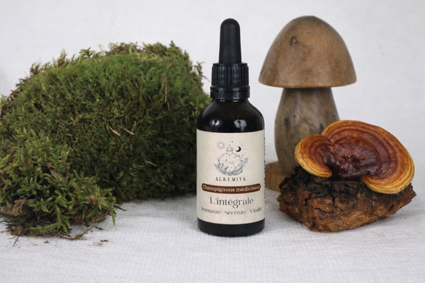 L'intégrale - Complexe 4 Champignons