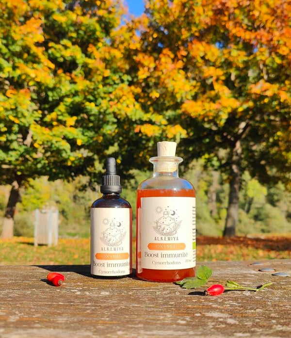 Oxymel Boost Immunité