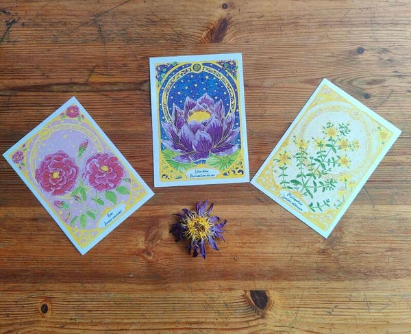 Carte Médecine des Plantes : Lotus, Rose, Millepertuis