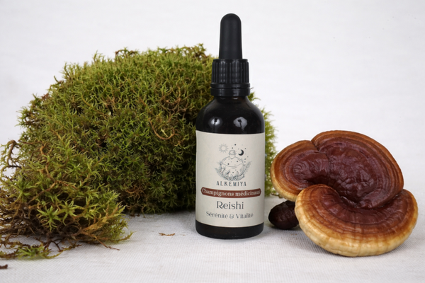 Champignon Reishi - Sérénité & Vitalité