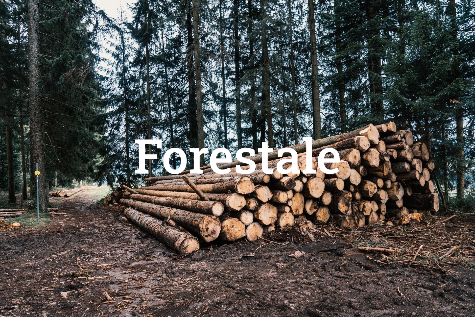 Categoria machcine forestali Bergamo