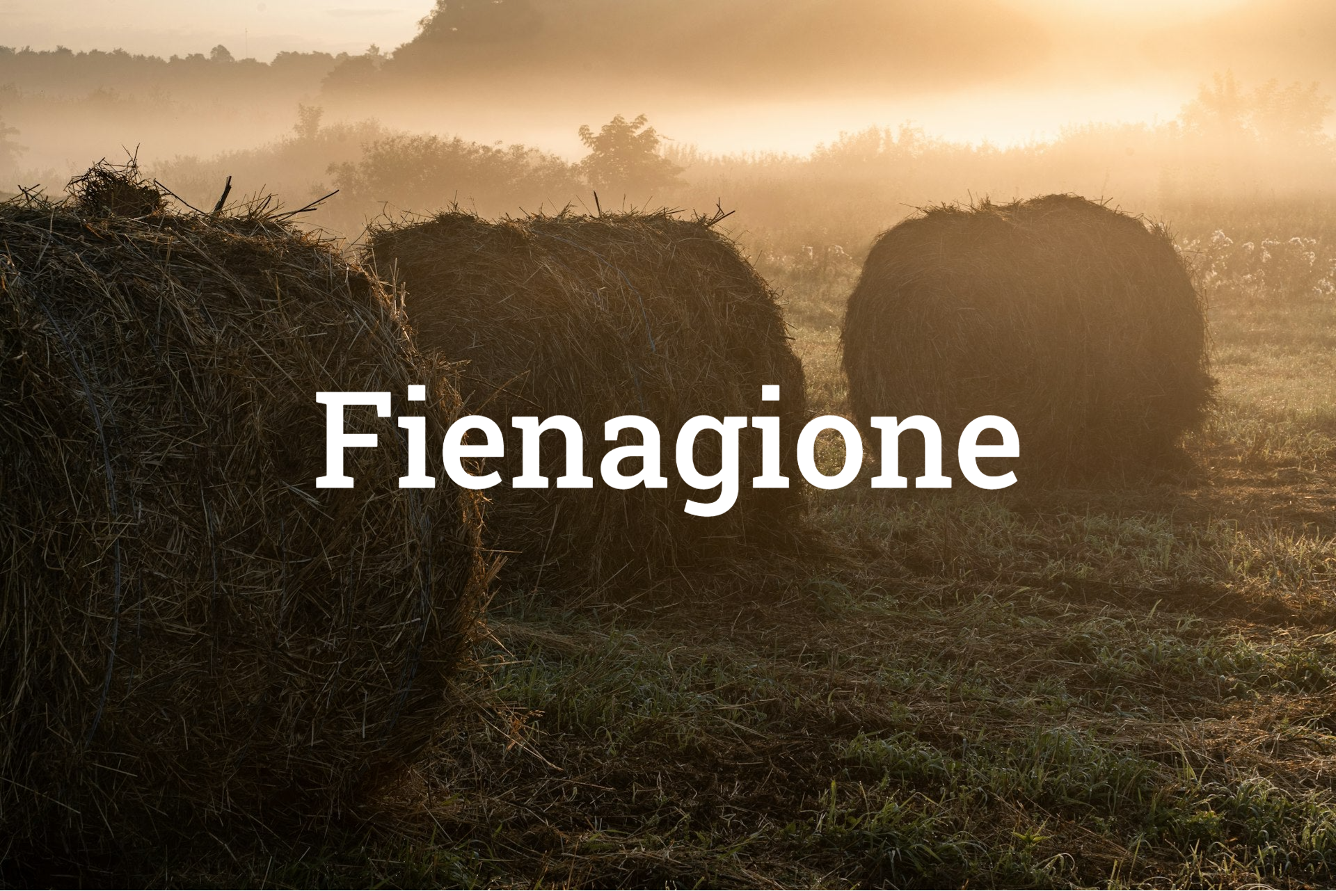 macchine per la fienagione e falciatrici bergamo