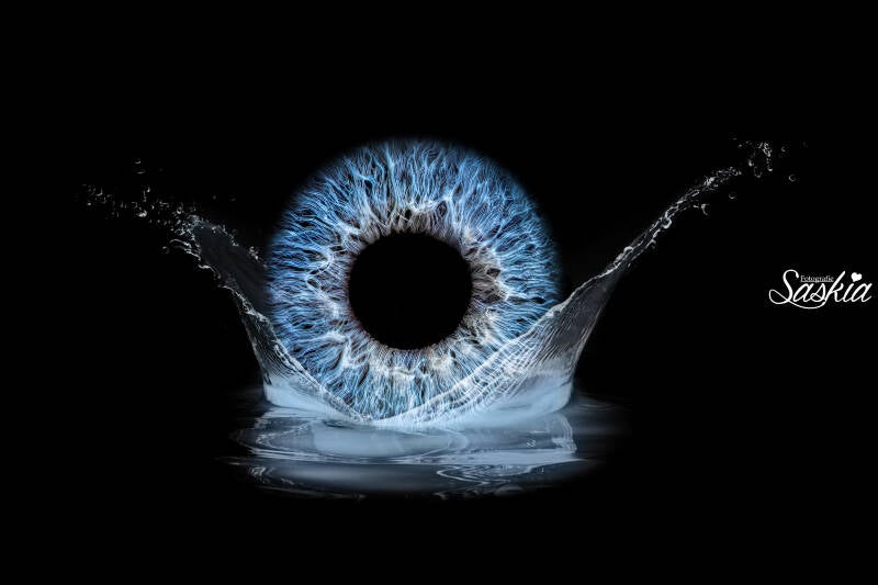 Splash