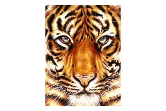 Diamond Painting Canvas 15x20 cm - Tiger Look