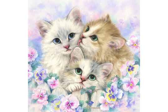 Diamond Painting Canvas 38x38 cm - Day Dreamers