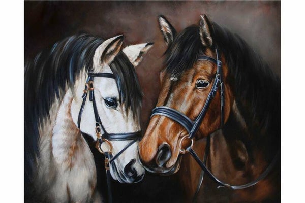 Diamond Painting Canvas 48x38 cm - Horse Tenderness