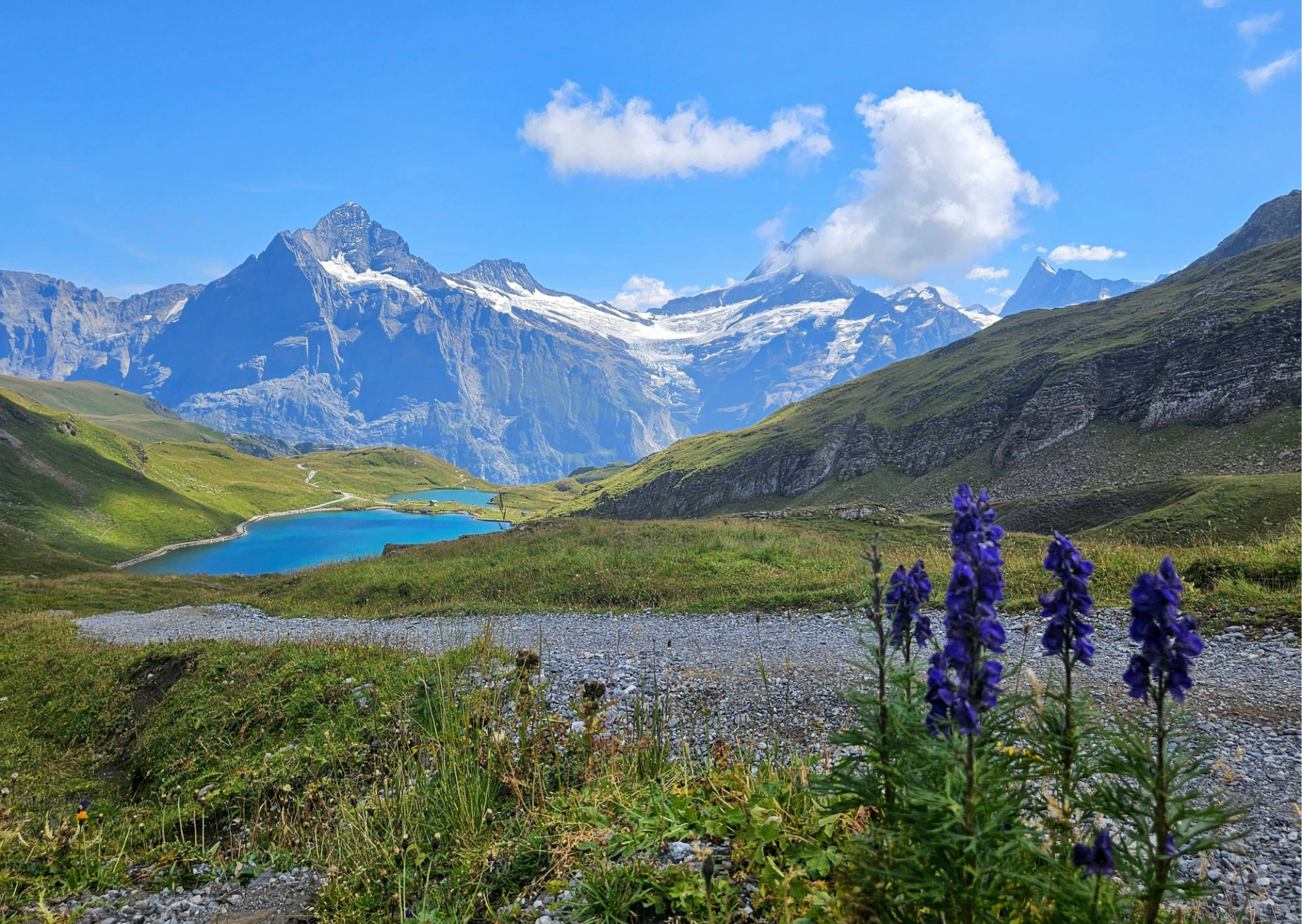 Glass Chopping Board