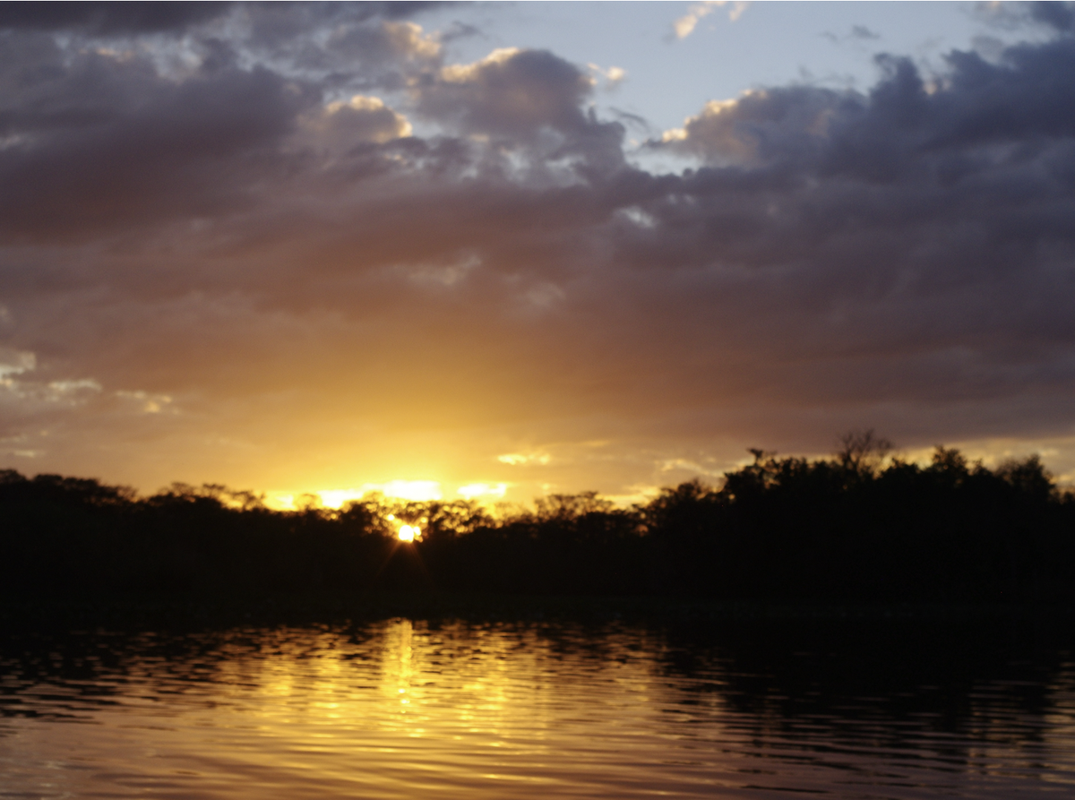 YouTube / Media | The Bard Rocks