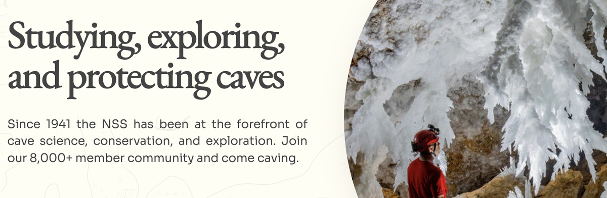 Links | The Bard Rocks