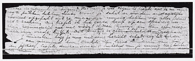 brief Wim Berkelmans