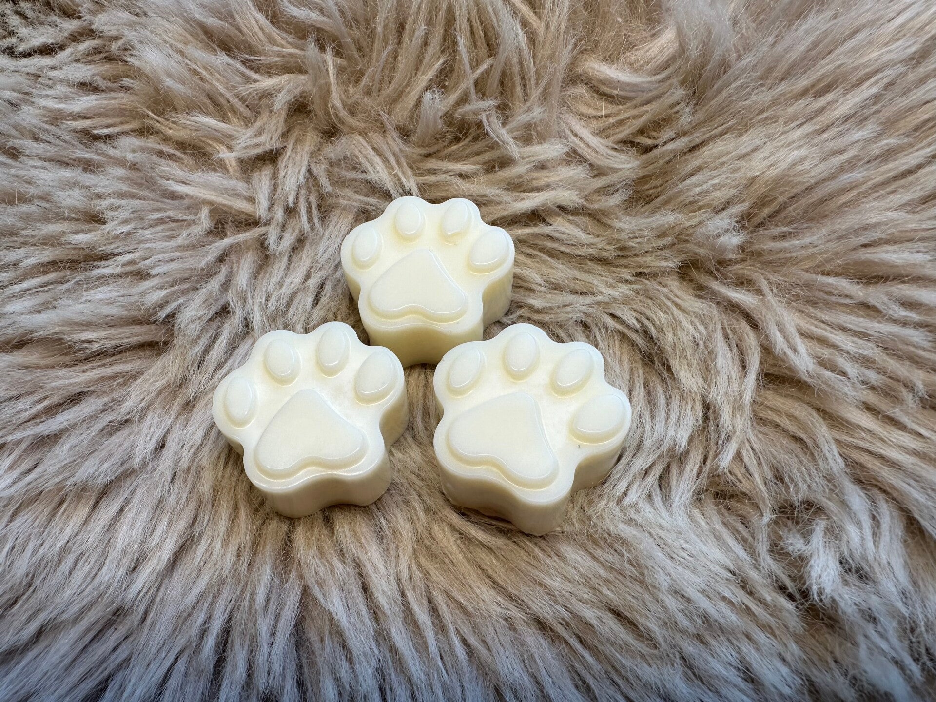 Waxmelts hondenpootje