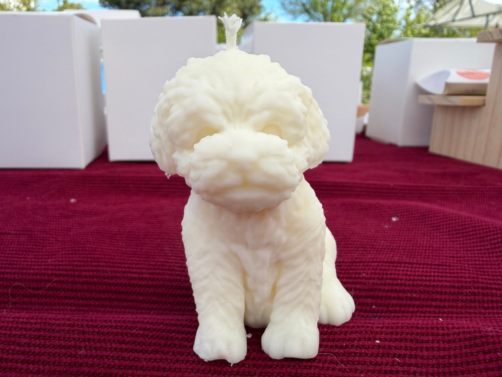 Hondje