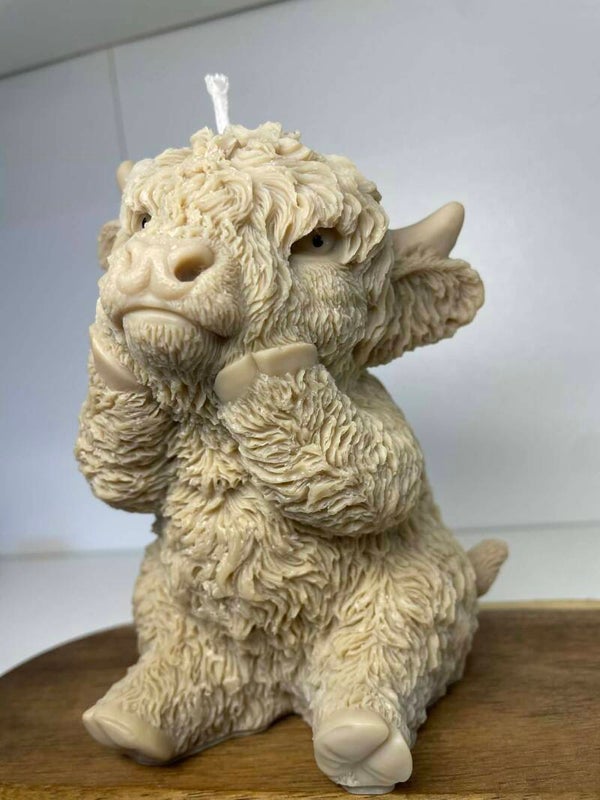 Vache XXL