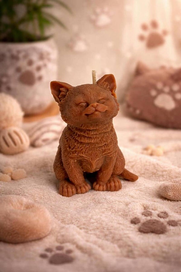 Chat