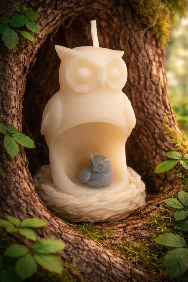 Chouette avec son bébé