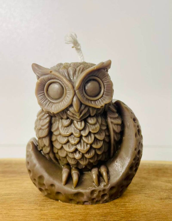 Hibou avec sa lune