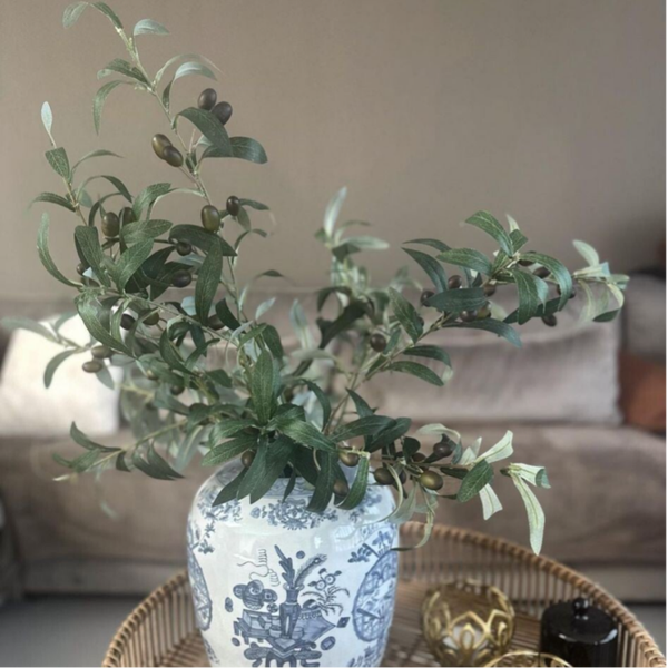 𝐎𝐥𝐢𝐣𝐟𝐭𝐚𝐤𝐤𝐞𝐧 🫒🫒🫒🫒🫒