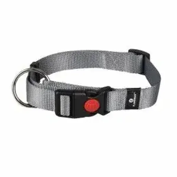 Collier nylon pour chien réglable gris