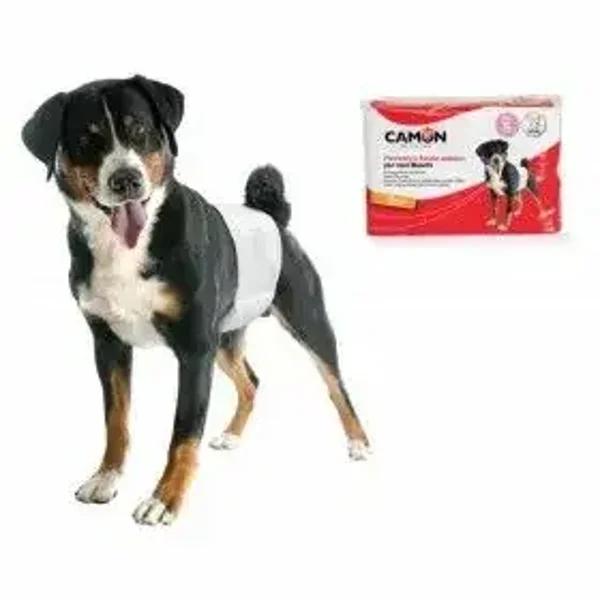 Couches jetables pour chien mâle