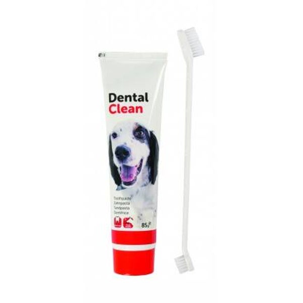 Dentifrice + Brosse à dents double