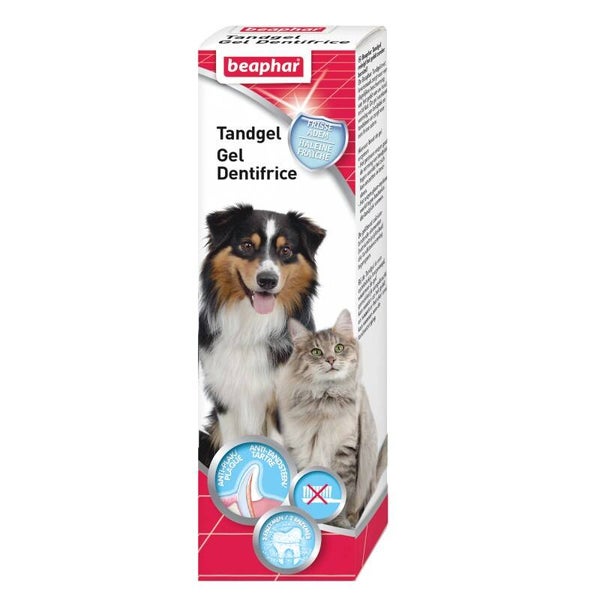 Dentifrice gel haleine fraîche