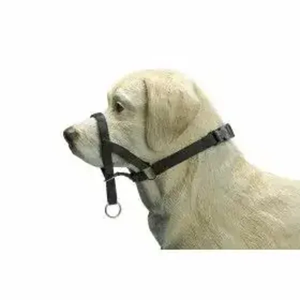 Dog control