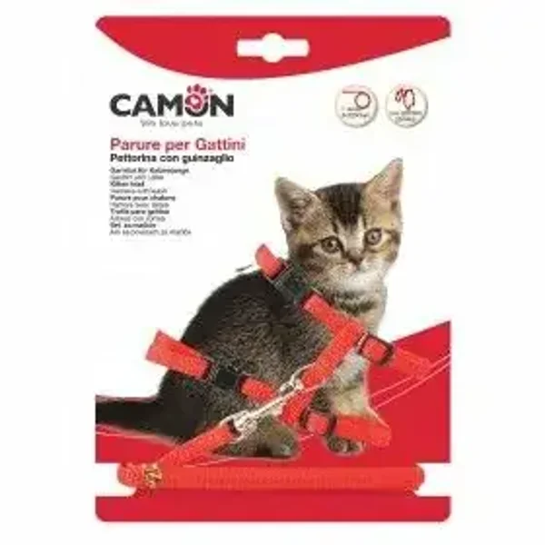 Harnais chaton nylon avec grelot + laisse