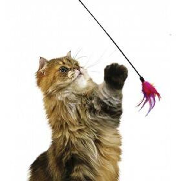 Jouet plumeau pour chat