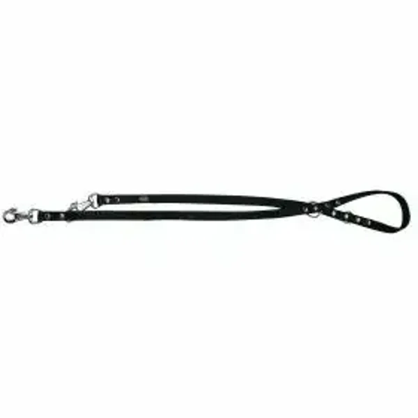 Laisse de dressage en cuir