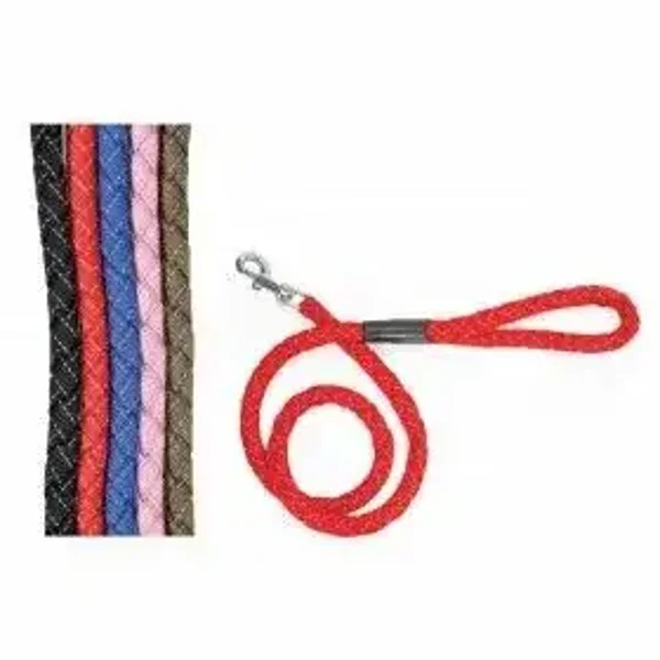 Laisse nylon réfléchissante