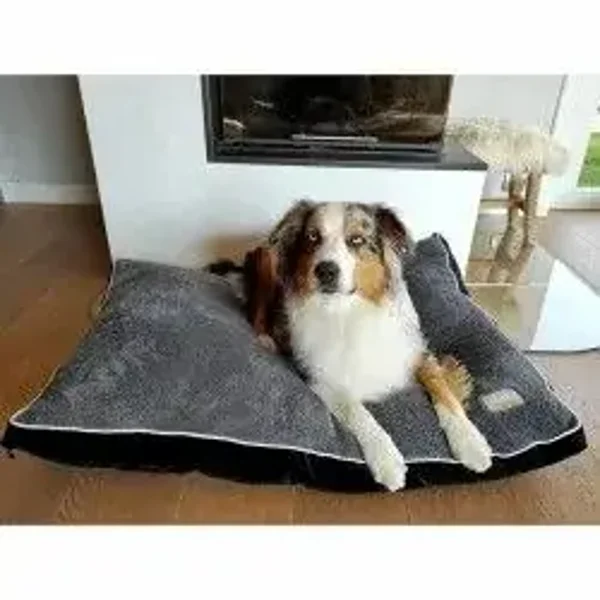 Coussin ASTRIDE - BOBBY