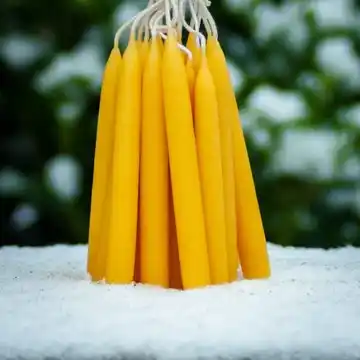 Bijenwaskaars Kerstboom kaarsjes set 20 stuks
