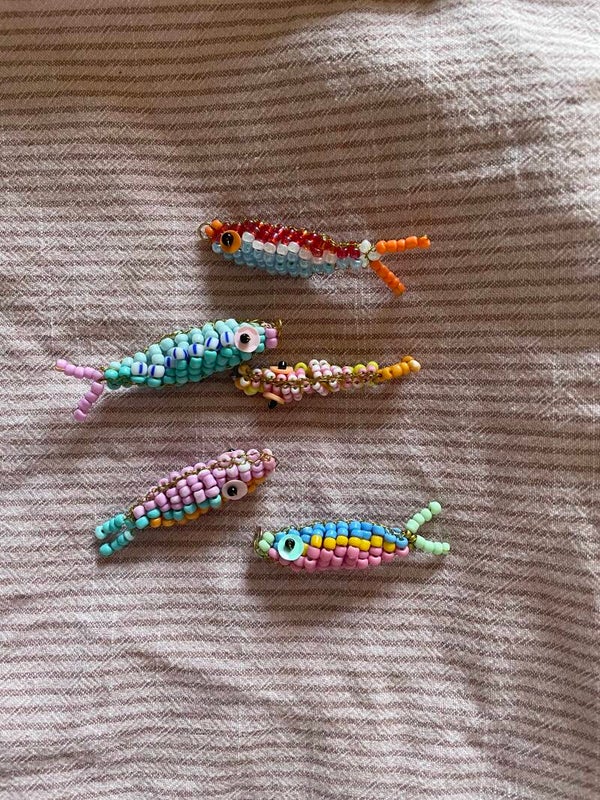 Visje🐠