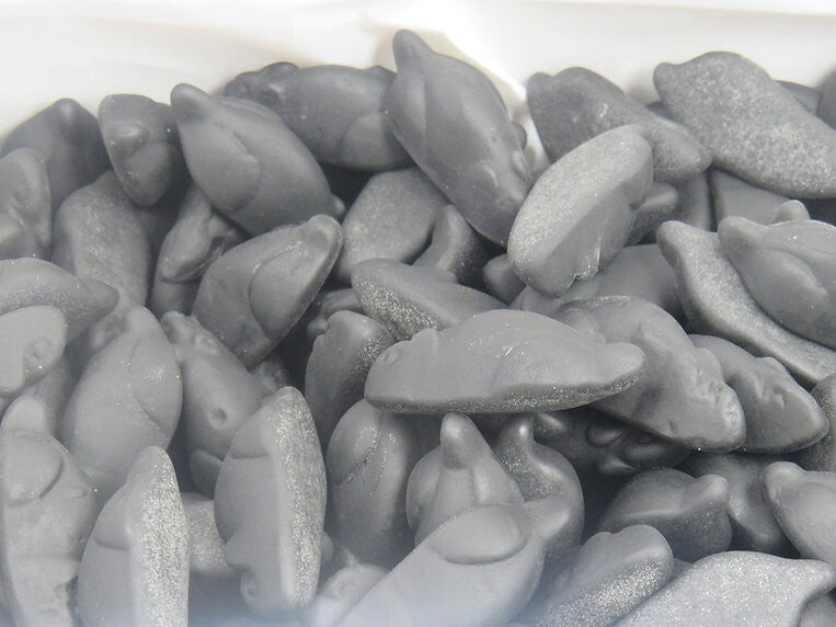 Joris Zwarte Muisjes per 100 gram