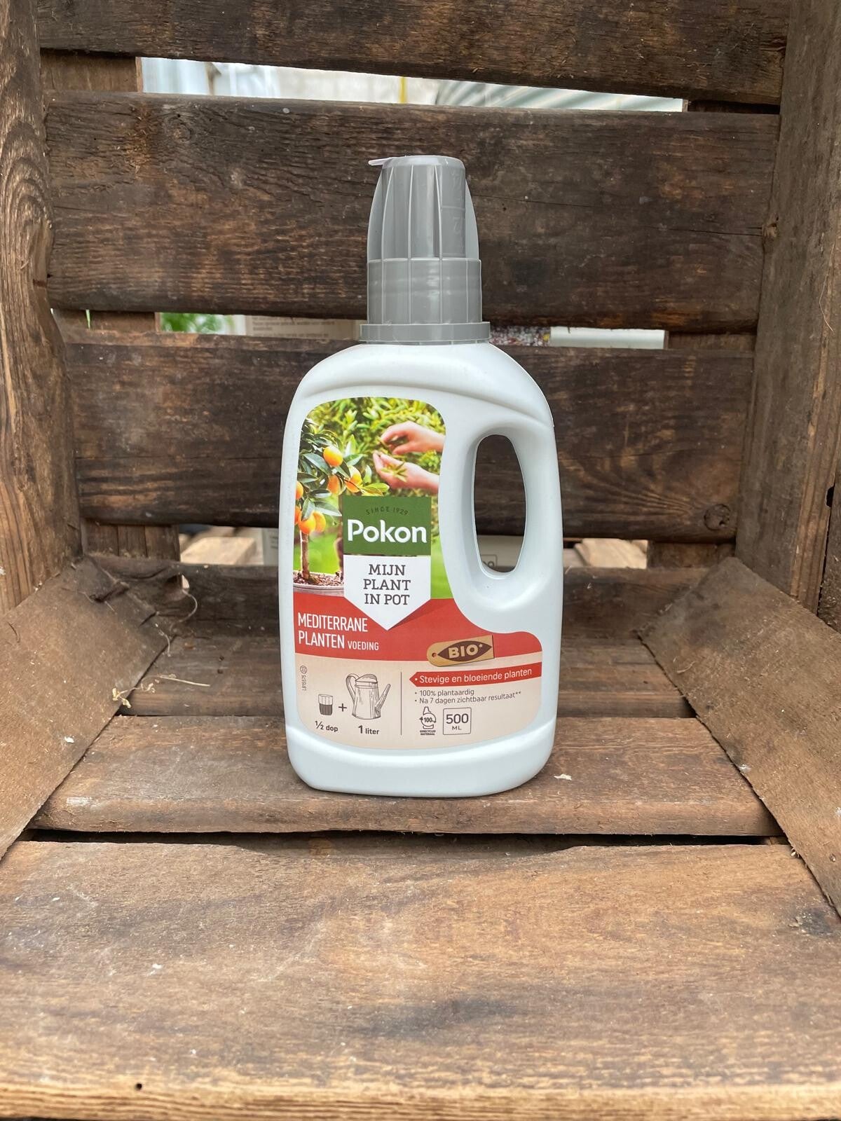 Mediterrane plantenvoeding