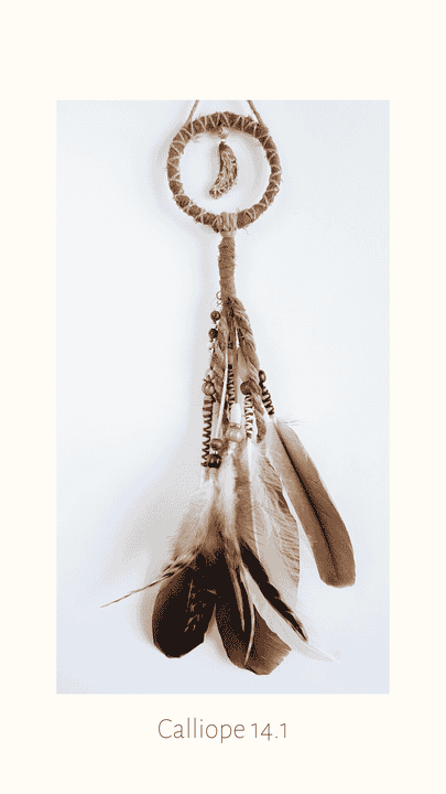 SOLD Dreamspreader 'Calliope 14.1'