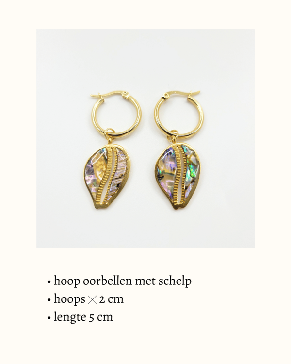 Hoop oorbellen 'Cowrie Abalone'