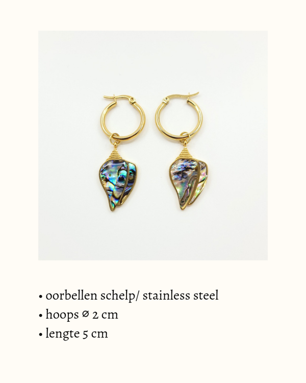 Hoop oorbellen 'Conch Abalone'