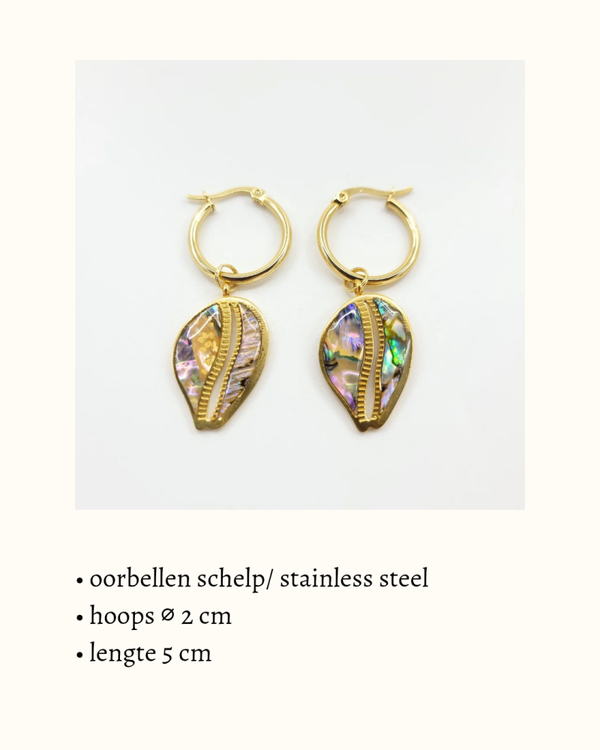 Hoop oorbellen 'Cowrie Abalone'