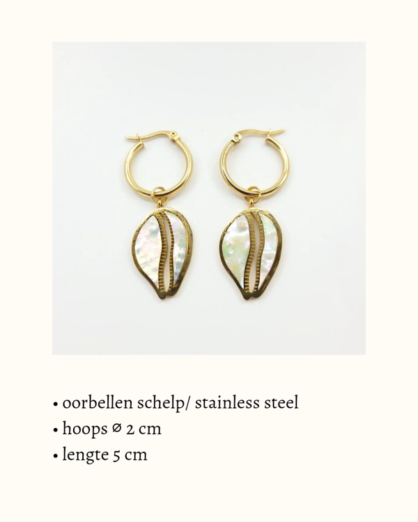 Hoop oorbellen 'Cowrie Parelmoer'