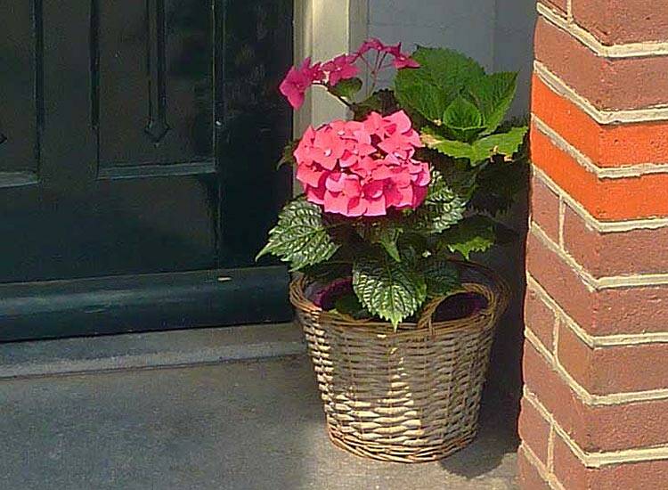 Detail Haptotherapie Deventer Jeltje Smits