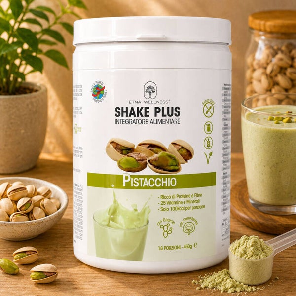 Shake plus pistacchio - 450 gr